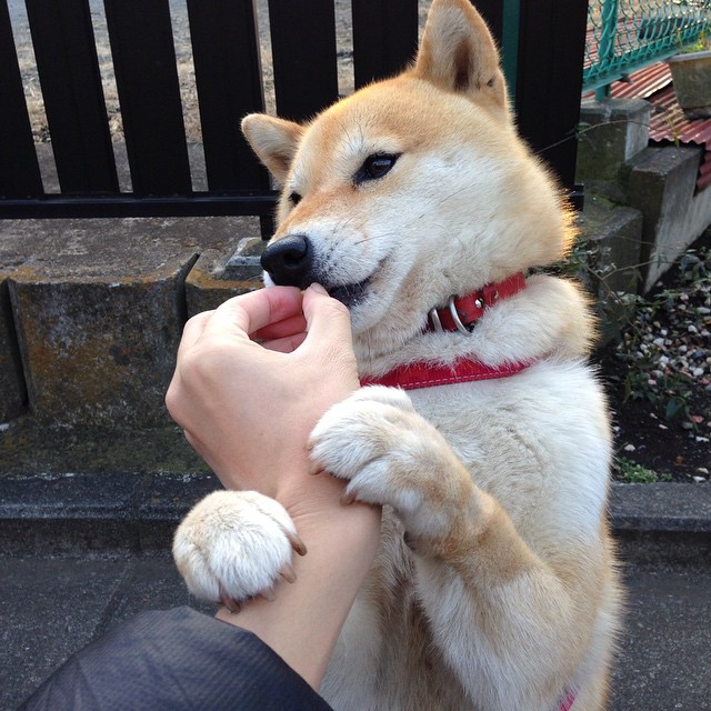 “全球极限：五洲最艰难赛段大汇总”