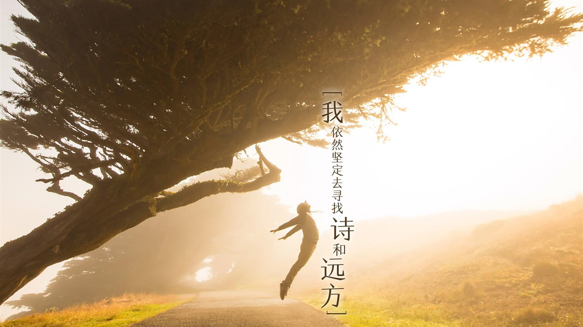 全国青少年“篮球+科技+文化”创新主题展在成都盛大举办，推动多元融合发展