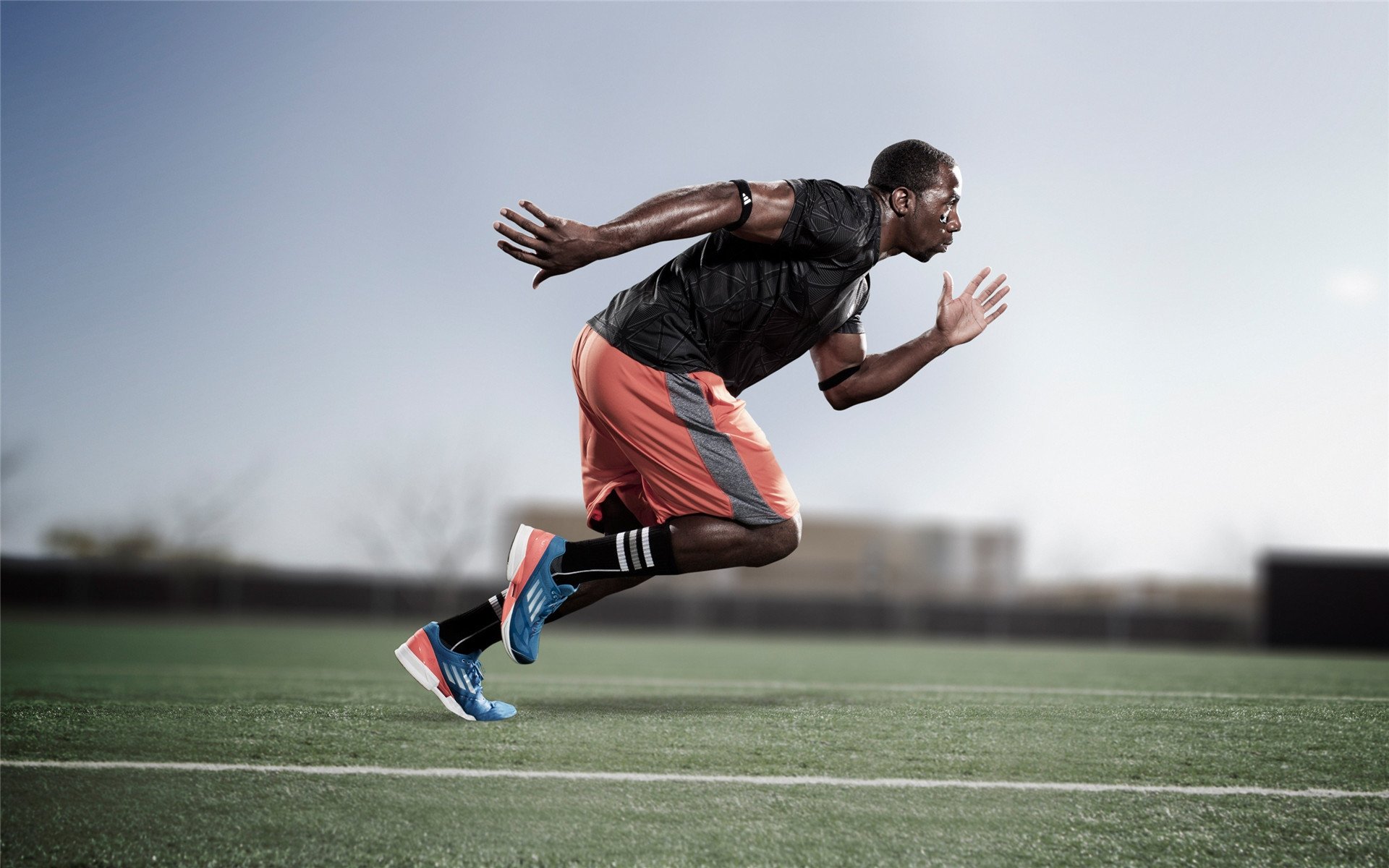 美洲杯激情激荡：明星闪耀，精彩无限！，美洲 杯