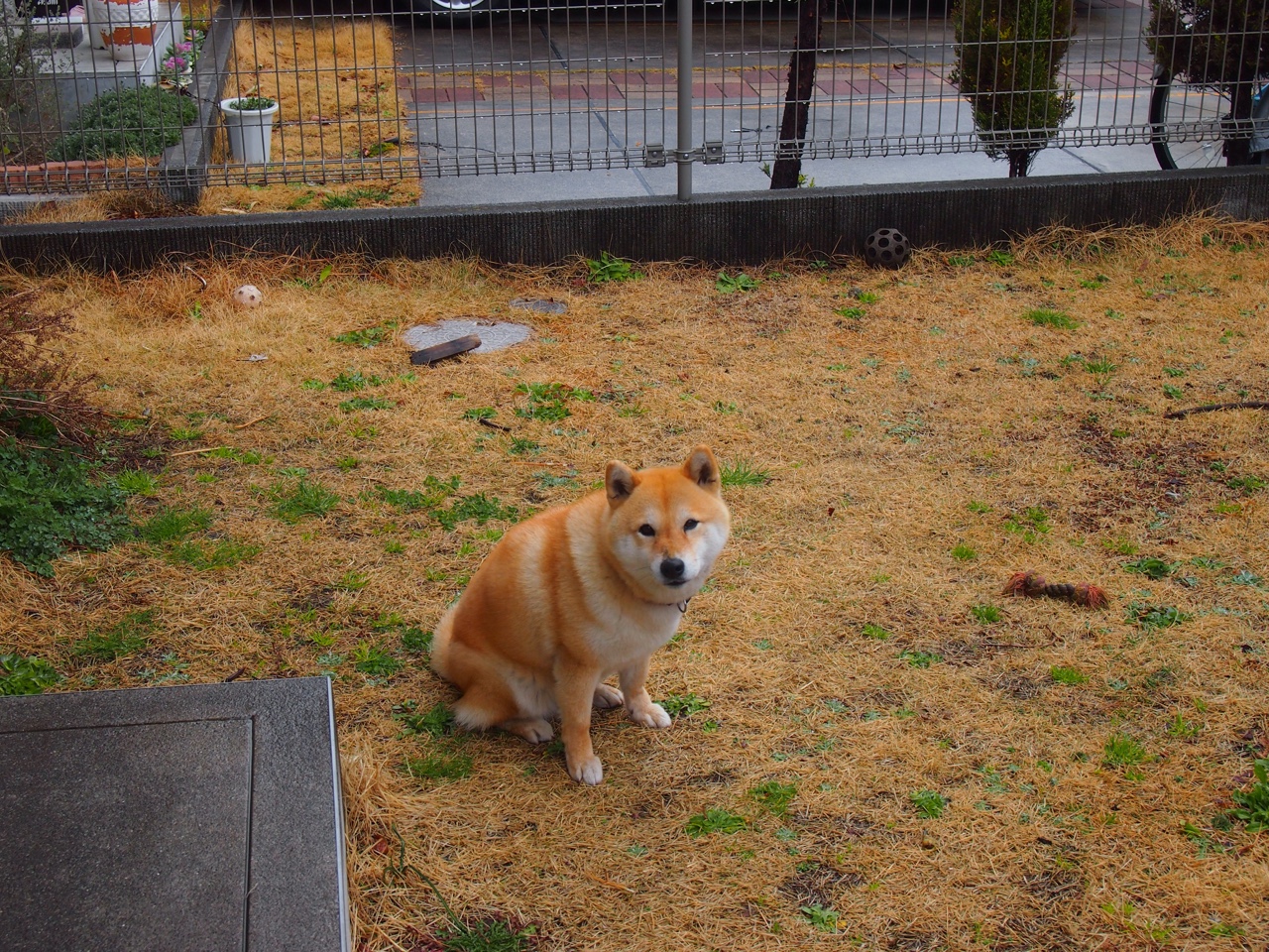 JIUYOU GAMING-_跑步社交APP：科技助力全民健身_，跑步交流app